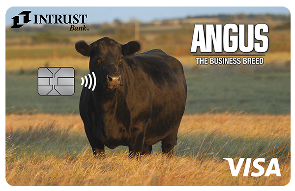 card-credit_angus-600x388