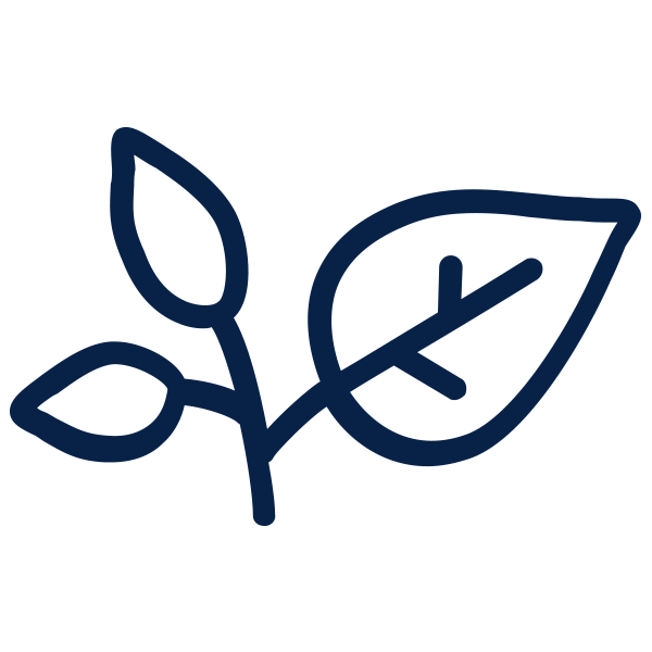 Outline icon of a small plant